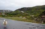 DSC 5089