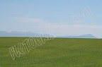 DSC 0037