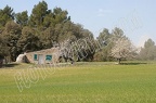 DSC 0044