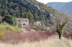 Brantes5