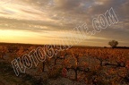 Courthezon2