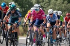 TCFIADNAStage3Etape3L-1479