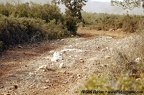 DSC 0109