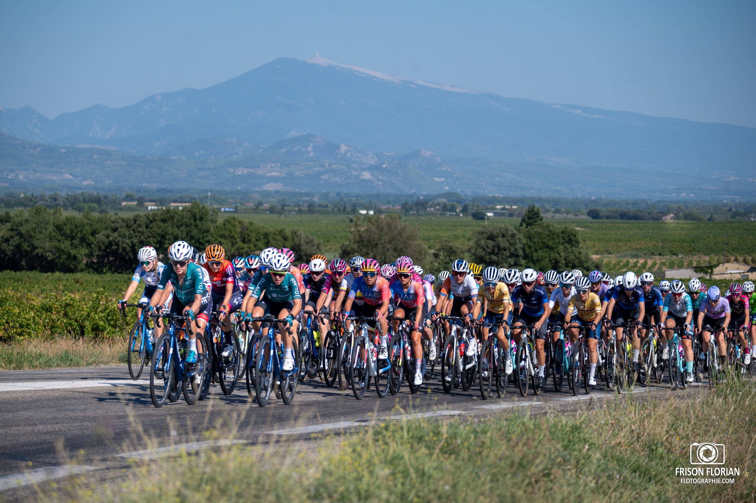 Le peloton du Tour Cycliste Féminin International de l'Ardèche 2023 devant le Mont Ventoux.