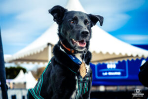 10km d'Aix les Bains 2026