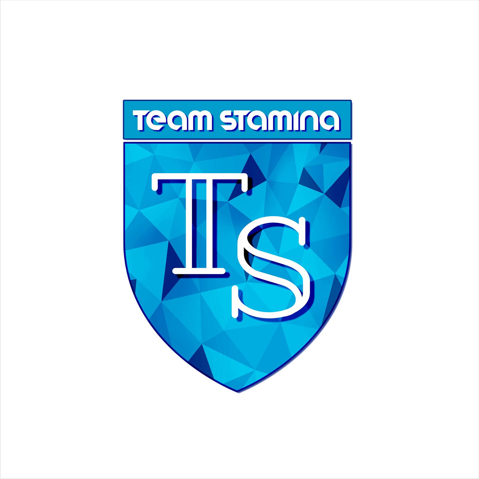 Logo de l'équipe cycliste Team Stamina à Isle sur la Sorgue
