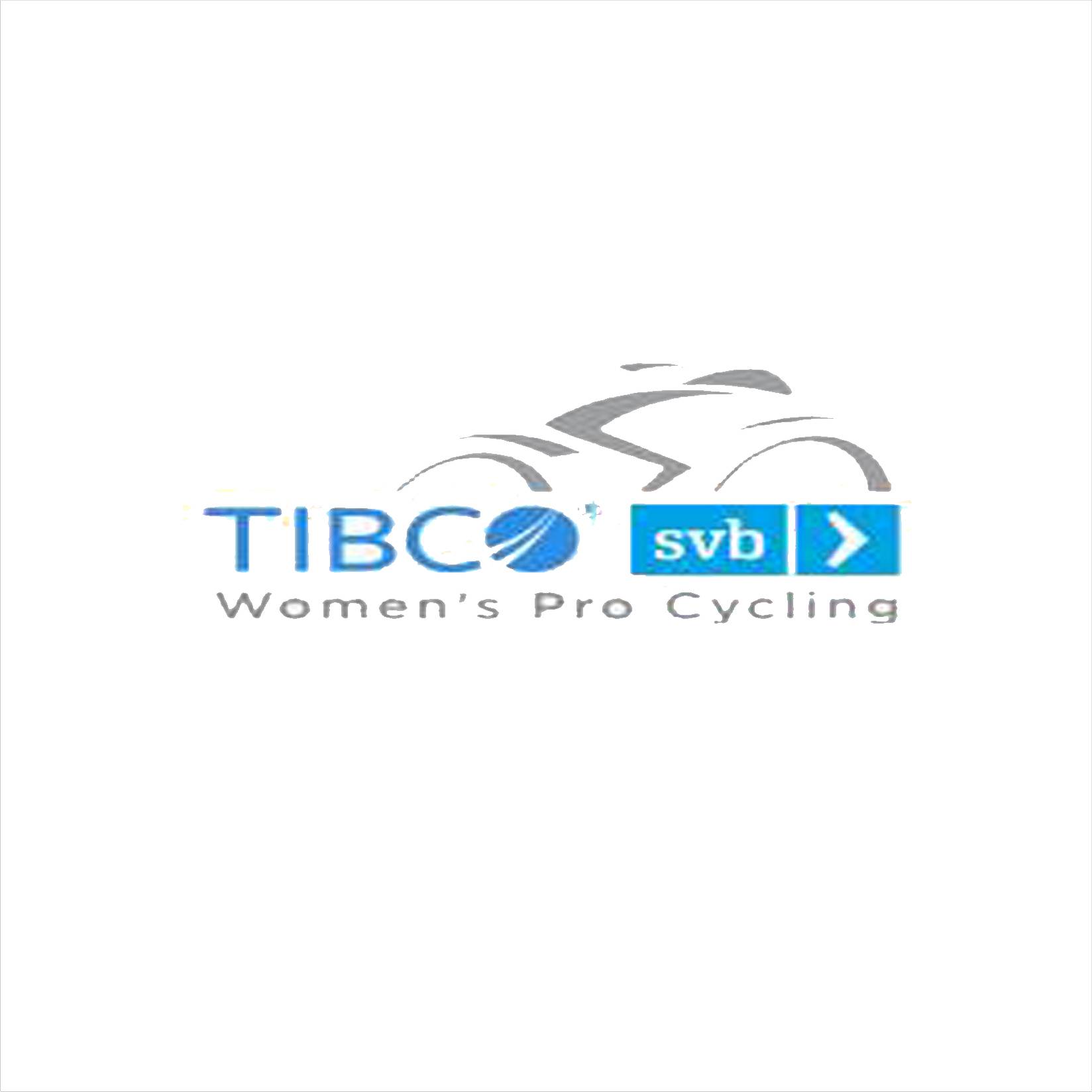 Logo de l'équipe Tibco Silicon Valey Bank Women's Pro Cycling - Nouvellement EF Education-TIBCO-SVB
