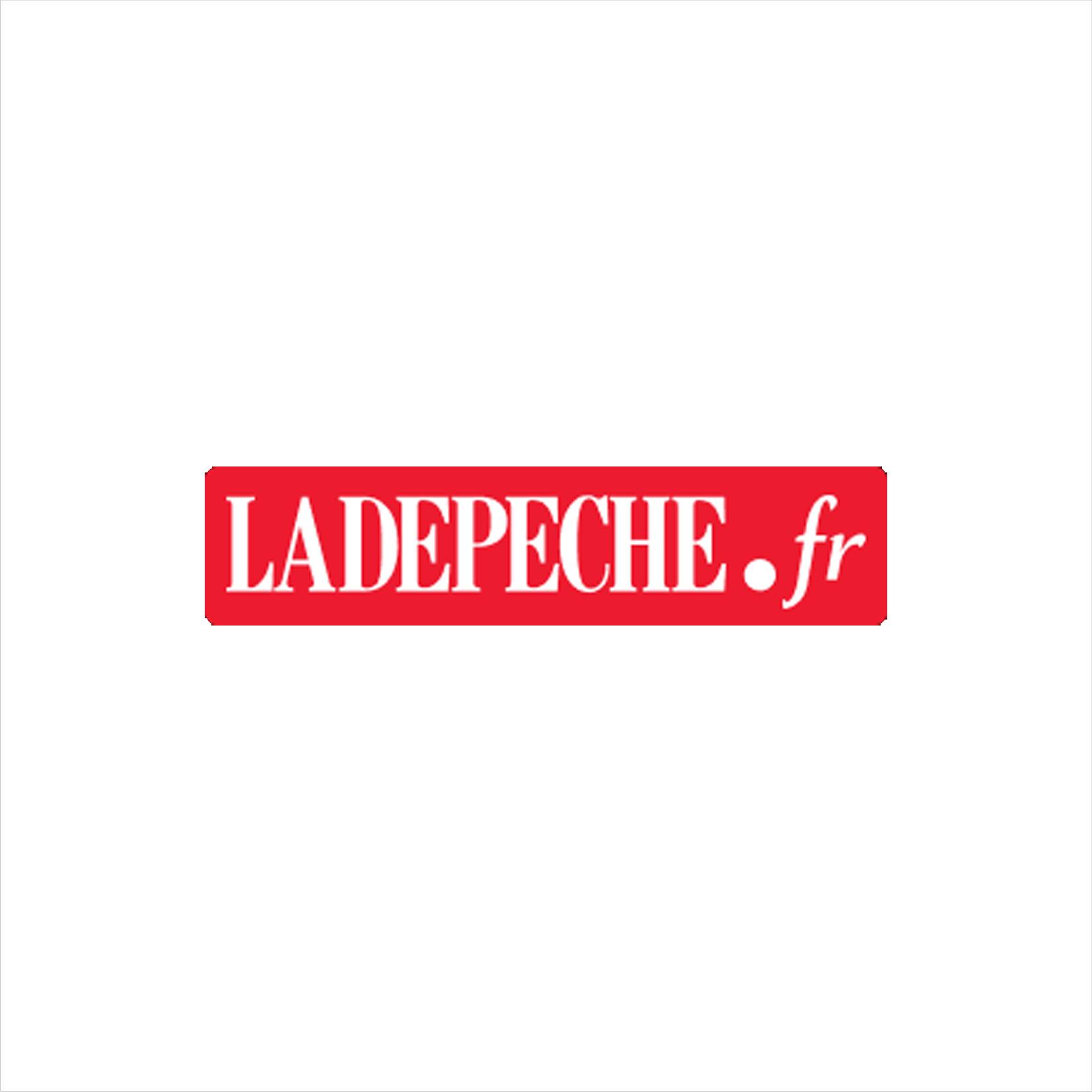 Logo du média LaDepeche.fr